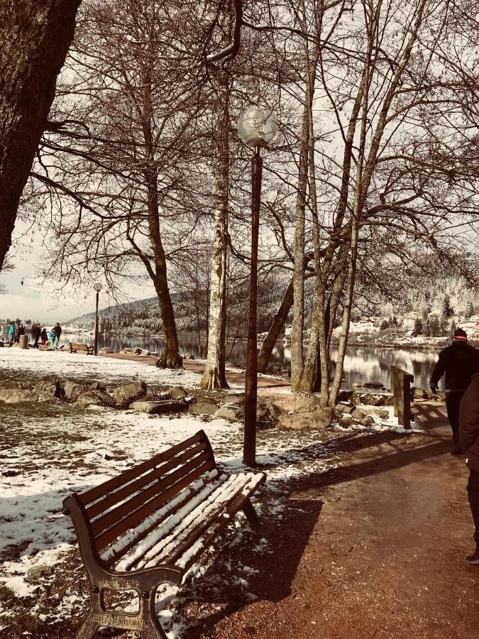 Gite Moya Gérardmer Dış mekan fotoğraf